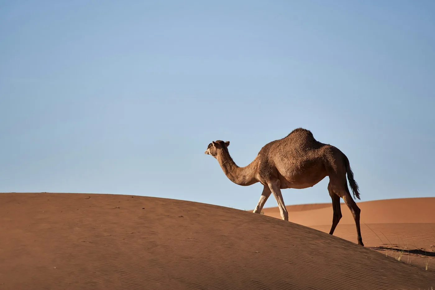 مشهد من الطبيعة يدعو إلى التفكر في خلق الله